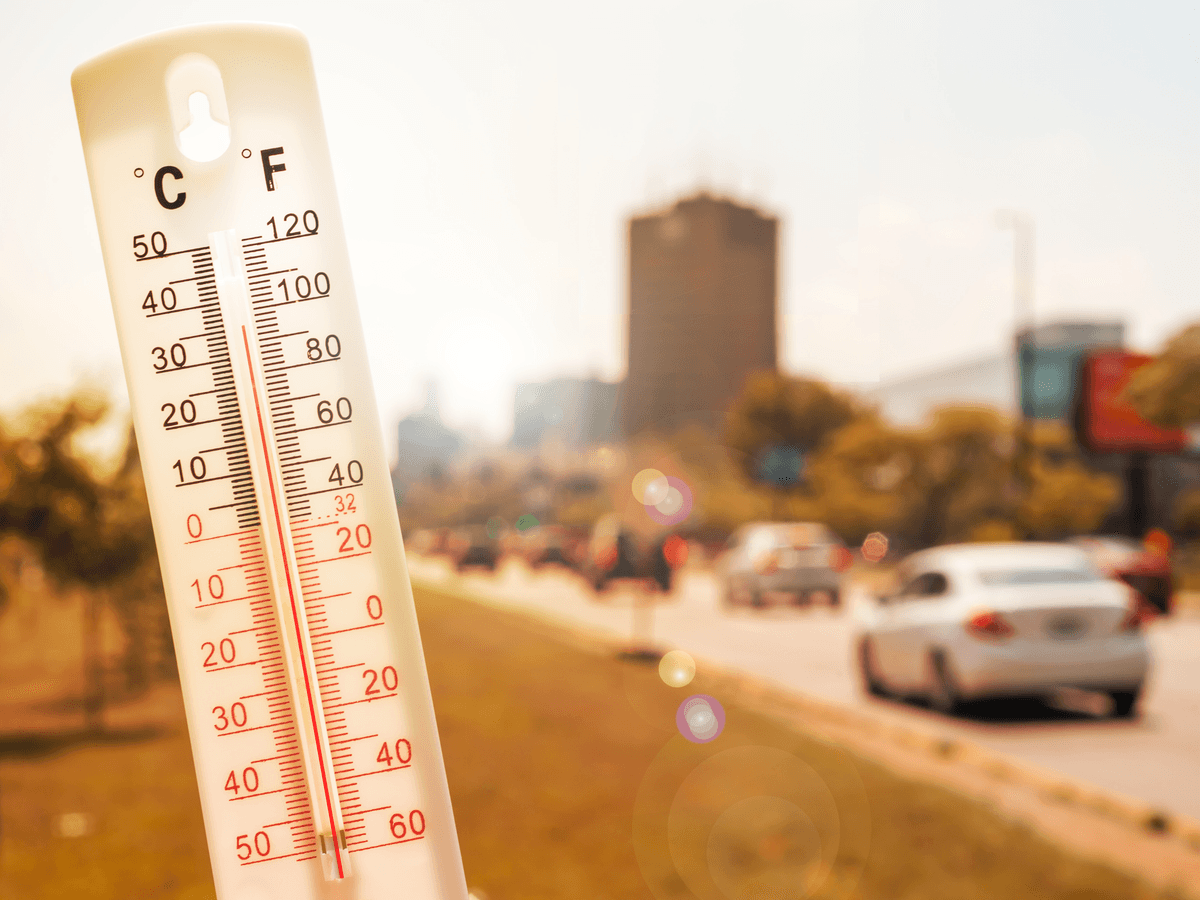 Protect your car from the summer heat with these tips from Driven Brands