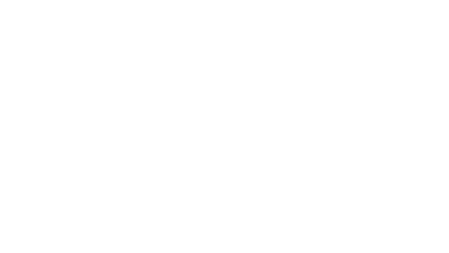 Fix Auto